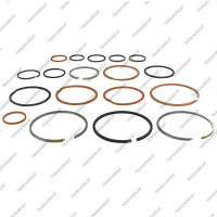 Комплект уплотнительных колец (17шт.)