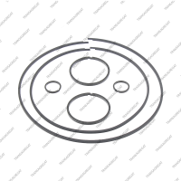 Комплект уплотнительных колец (6шт.)