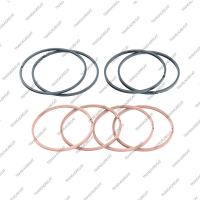 Комплект уплотнительных колец (8шт.)